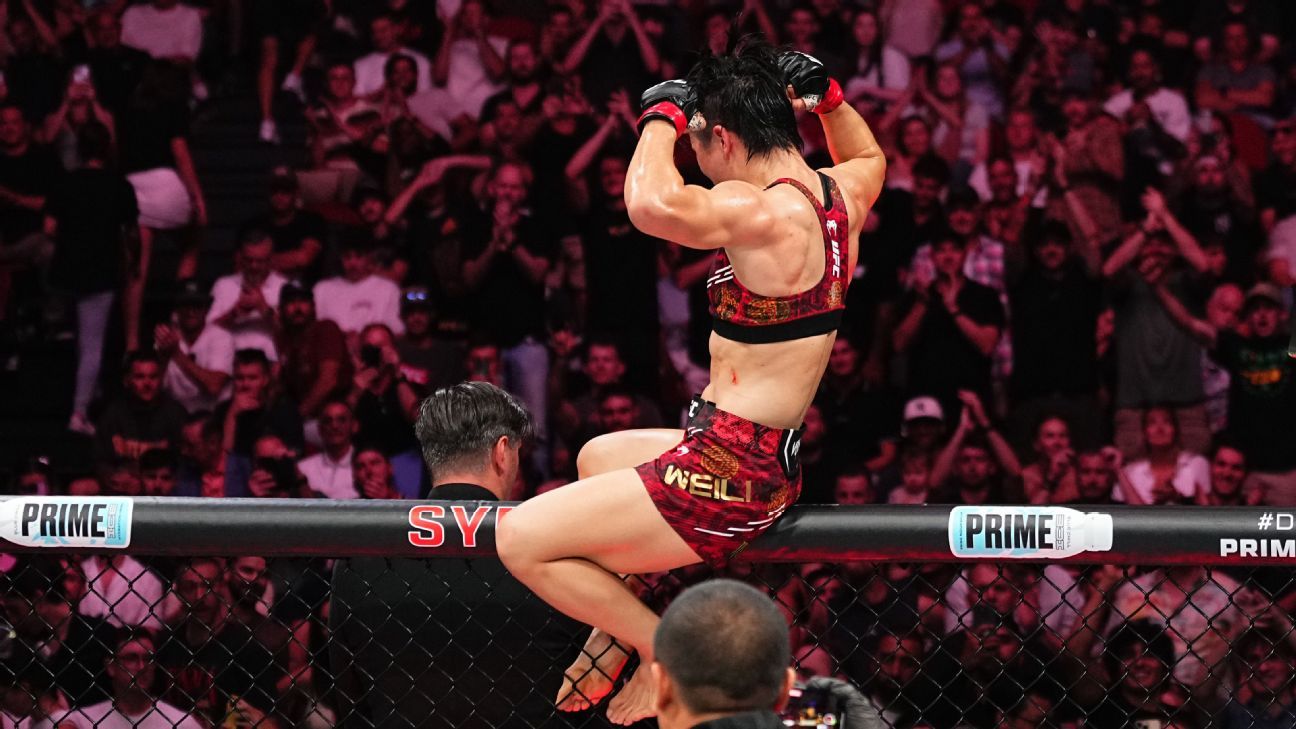 在欧洲发展 在欧洲发展