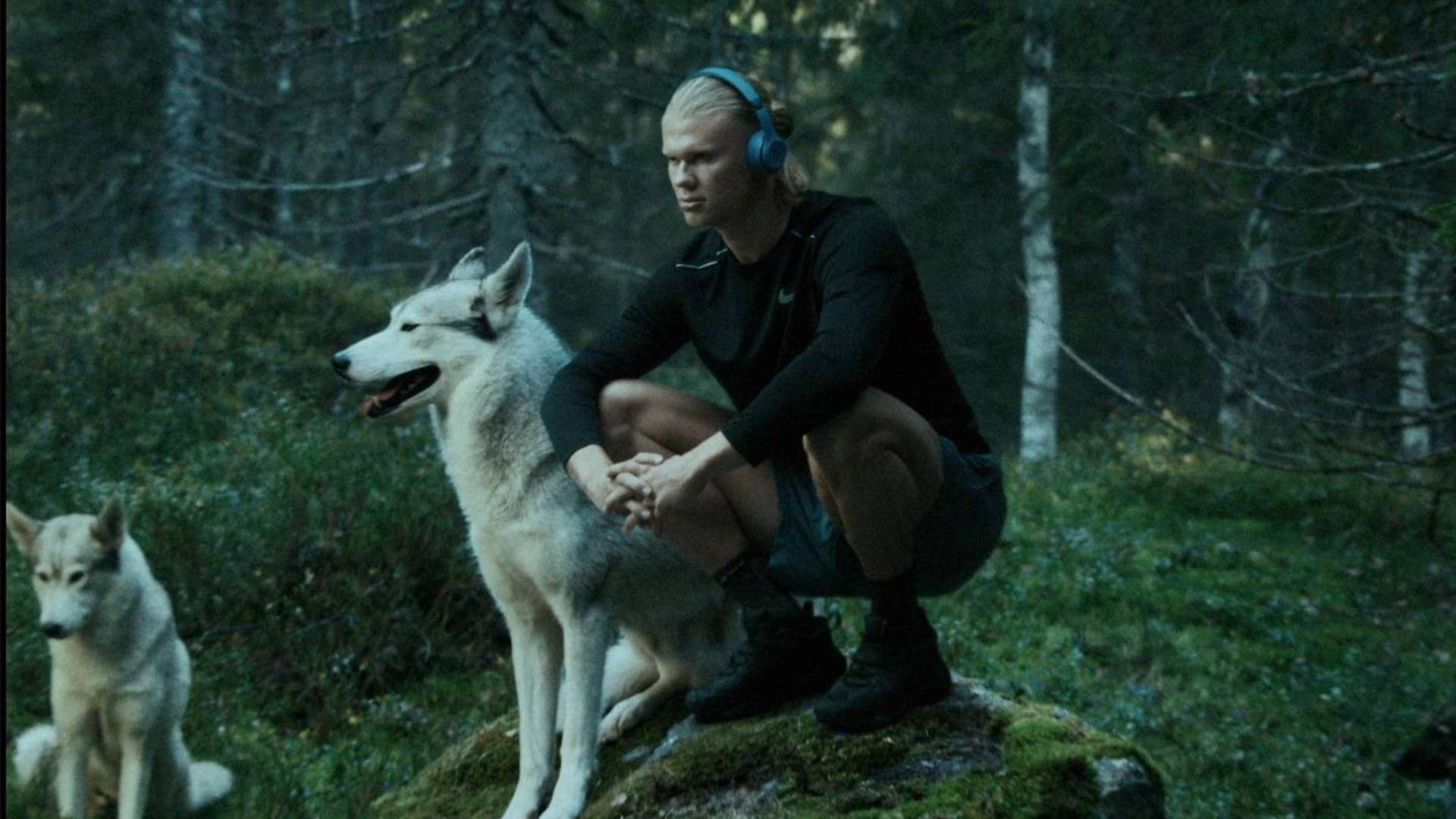 的消息无疑 的消息无疑